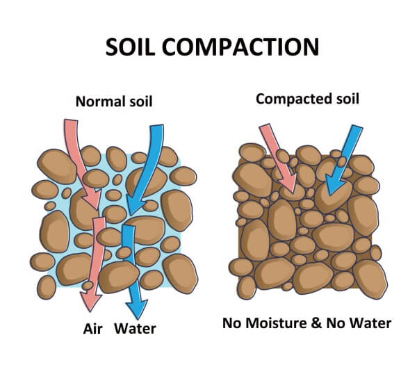 soil compaction